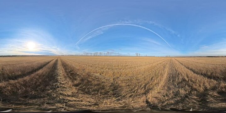 VR360 Autumn harvested field in sunny day in autumn season