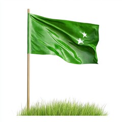 Art Flag Green Scene Stars Earth Day Field Background.
