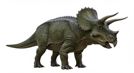 Obraz premium This vibrant illustration of a Triceratops highlights its iconic three horns and frill, showcasing rugged texture and strength, perfect for educational materials or children's books.