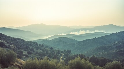 Fototapeta premium Smoky Mountains at Sunrise. Wide view of rolling hills and hazy mountains at sunrise. Possible use Nature, landscape, sunrise, background, panoramic