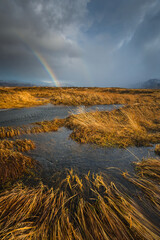 Iceland's diverse landscape features majestic mountains, dramatic coastlines, glaciers, and...