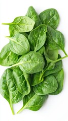 Fototapeta premium Fresh Green Spinach Leaves on White Background