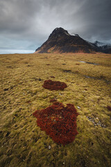 Iceland's diverse landscape features majestic mountains, dramatic coastlines, glaciers, and...