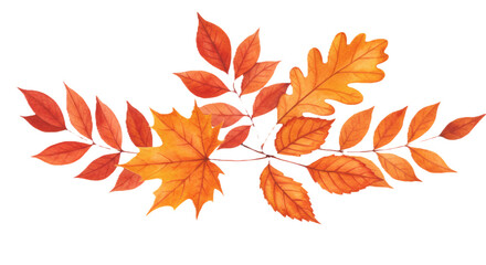 Obraz premium Watercolor autumn leaves art composition. Hand painted fall foliage botanical illustration on isolated white background1