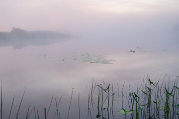 fog on the lake