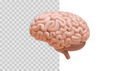 Brain in 3d realistic style isolated on transparent background. Vector illustration
