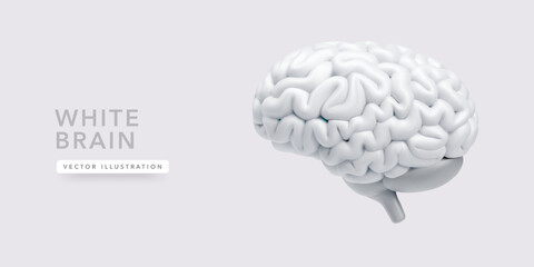 White 3D cartoon stylized human brain isolated on light background. Vector illustration