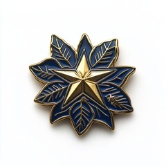 Obraz premium Generic Inaugural Gold View Star Inauguration Enamel