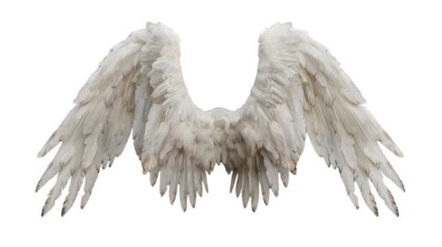 Angelic Wings: A pair of large, white, fluffy wings spread wide against a clean background, symbolizing freedom and hope. 