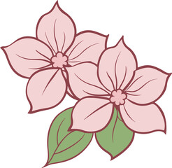 Delicate pink flowers in dogwood blossom with green leaves illustration