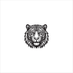 Tiger head hand drawn illustration artwork