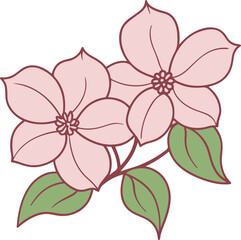 Delicate pink flowers in dogwood blossom with green leaves illustration