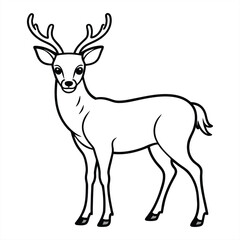 Fototapeta premium Deer Illustration: A detailed black and white illustration of a majestic deer with large antlers standing gracefully, a perfect representation of the animal's elegant form.