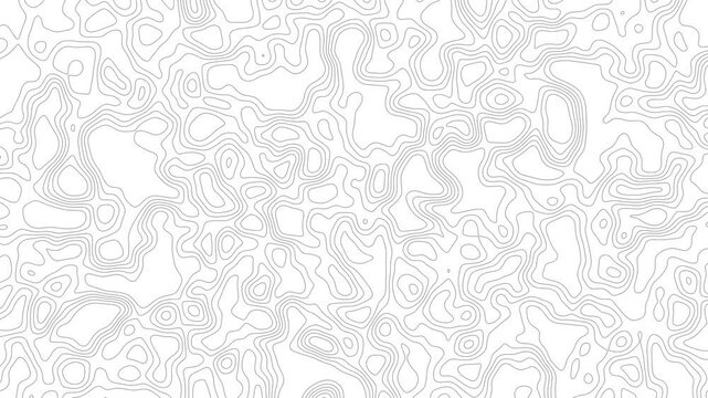 Abstract topographic contour map motion 4k background animation video