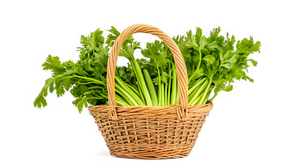 Naklejka premium A basket full of fresh green vegetables including celery and parsley