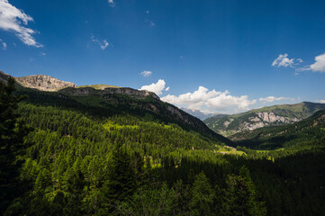 nature sceneries along the Monzoni Valley, Dolomites, Val di Fassa, Italy