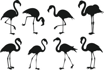 A collection of black silhouette flamingo designs on a white background.