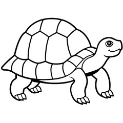 Elegant Tortoise Outline Illustration