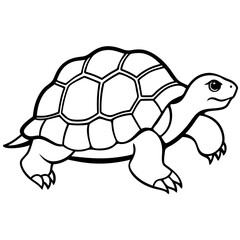 Elegant Tortoise Outline Illustration