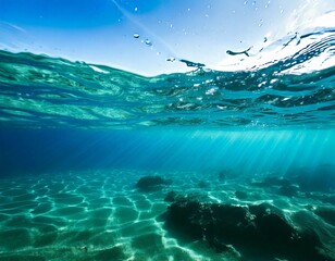 透明　水　水中からの視点　