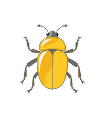 Beetle Cartoon Illustration