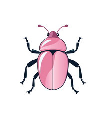 Beetle Cartoon Illustration