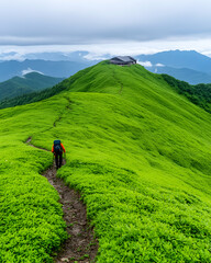 Hiker ascends verdant mountain ridge towards distant shelter, under cloudy sky