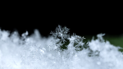 snowflake, little snowflake on the snow