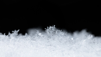 snowflake, little snowflake on the snow