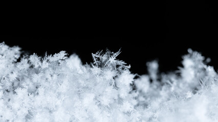 snowflake, little snowflake on the snow