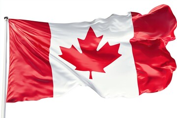 Canadian flag on white background