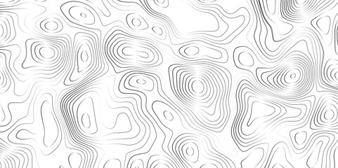 White wave paper curved reliefs background .Panorama view gradient multicolor wave curve lines banner background design. Vector illustration. wave Line topography map contour background.