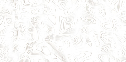 White wave paper curved reliefs background .Panorama view gradient multicolor wave curve lines banner background design. Vector illustration. wave Line topography map contour background.