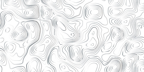 White wave paper curved reliefs background .Panorama view gradient multicolor wave curve lines banner background design. Vector illustration. wave Line topography map contour background.