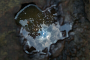 reflection of the eye in water