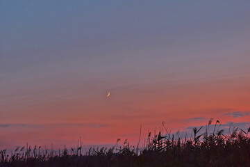 The crescent of the new moon against the background of the evening sky.