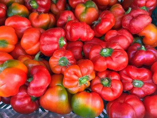 Vibrant Harvest: Captivating Fruit and Vegetable Photography Showcasing Nature’s Artistry: Close up of Hungarian tomato pepper. 