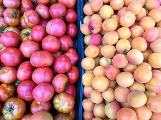 Vibrant Harvest: Captivating Fruit and Vegetable Photography Showcasing Nature’s Artistry: Tomatoes, apricots