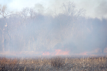 March marsh fire in Wisconsin: March 9 2025 in Brookfield, Wisconsin.  Difficult terrain and windy conditions made fire fighting conditions difficult.  Homes and businesses were threatened.