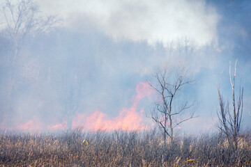 March marsh fire in Wisconsin: March 9 2025 in Brookfield, Wisconsin.  Difficult terrain and windy conditions made fire fighting conditions difficult.  Homes and businesses were threatened.