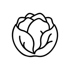Cabbage 