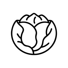 Cabbage 