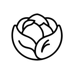 Cabbage 