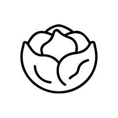 Cabbage 