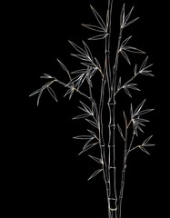 Obraz premium Black outline drawing of several bamboo branches, elegant design, graphic, green, design