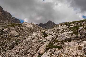 nature sceneries along the Monzoni Valley, Dolomites, Val di Fassa, Italy