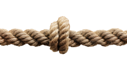 Knot of Unity: A detailed close-up of a sturdy rope tied into a complex knot, symbolizing strength, connection, and intricate craftsmanship.