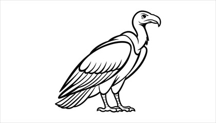 Black and White Vulture Illustration with Detailed Wings.