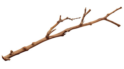 Fototapeta premium Bare Branch Silhouette: A solitary tree branch, stripped of its leaves, stands in stark silhouette against a natural background, representing the resilience and beauty of nature's life cycle. 