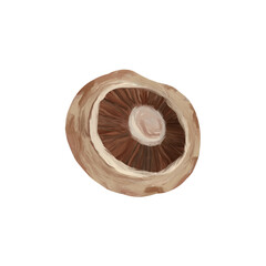 Champignon on isolated white background. Digital art, oil imitation. Autumn harvest, healthy food.